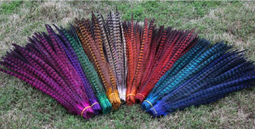 Wholesale 50-55cm Natural Pheasant Tail Feathers for Crafts Handicraft Accessories Colored Feather DIY Wedding Party Decoration