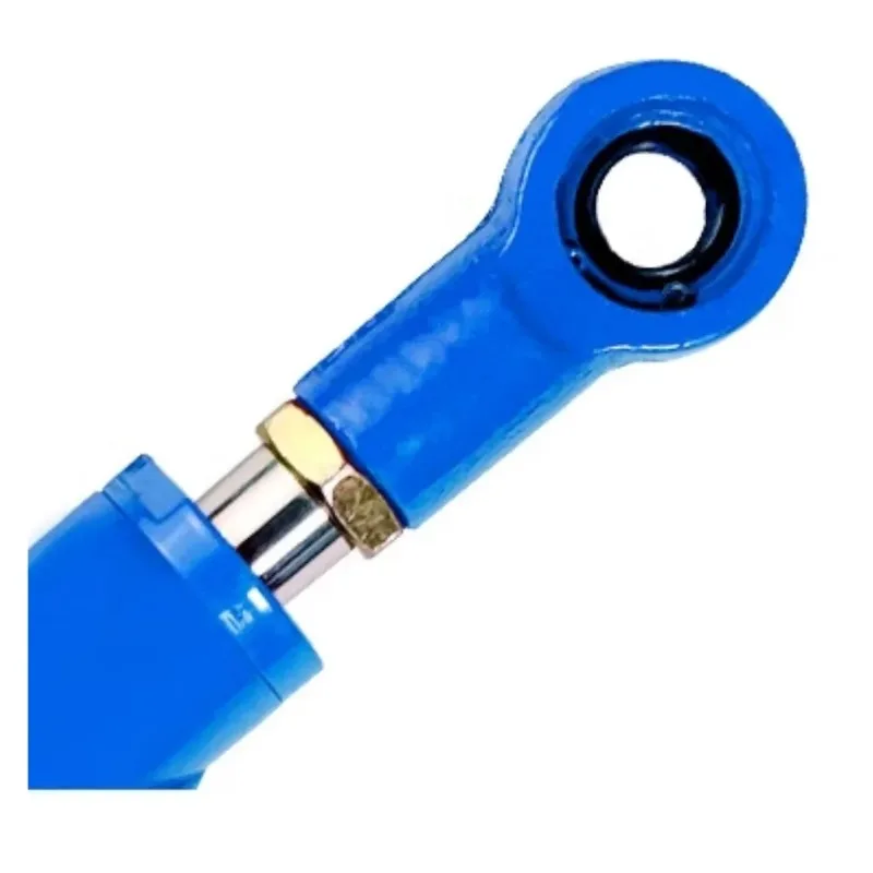 2 ton 40 cylinder diameter small single and double direction hydraulic cylinder