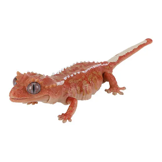 Oryginalny Model Gacha Skala Wielka Biologiczna Encyklopedia Seria Gadów Armadilli Jaszczurki Strażnicze Figurki Akcji Zabawki