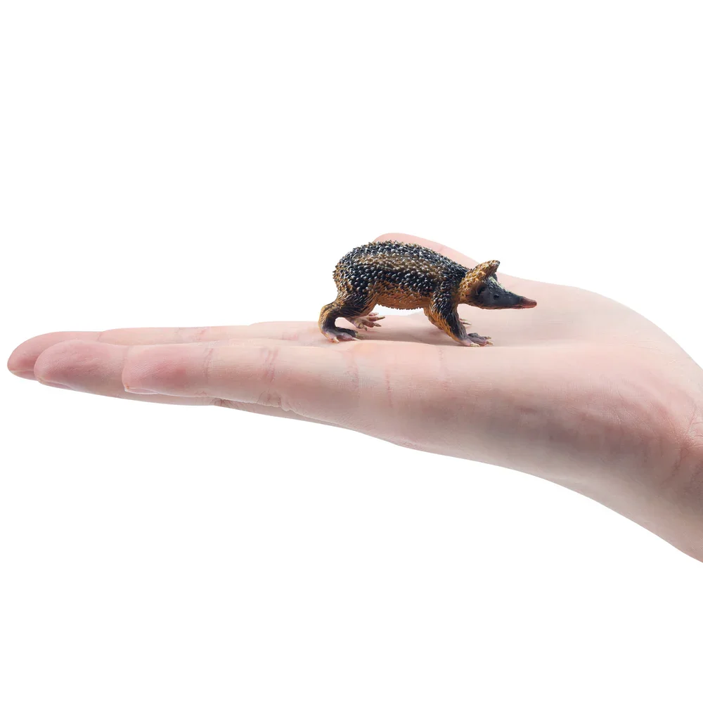 Toymany محاكاة لولاند مخطط Tenrec مدغشقر نماذج للحيوانات لعبة شخصيات صغيرة دمى عمل التماثيل لعبة الأطفال Gife Cak