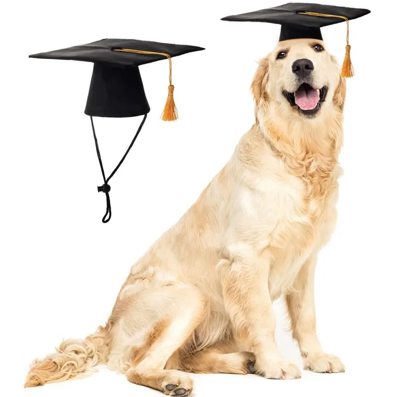 Dog Graduation Cap Funny Pet Grad Costume for Small Medium Large Dogs Puppy Dog Cap Doctor Hat Cat Graduation Apparel Accessory