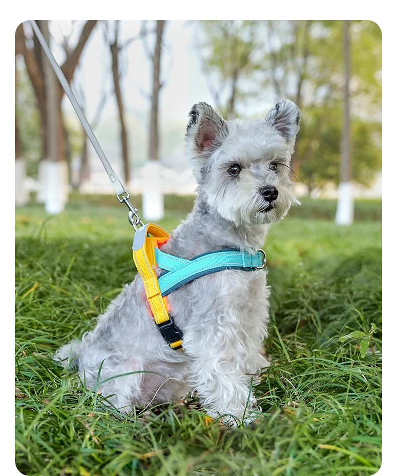 Hundegeschirr ohne Zugfunktion, T-Form, atmungsaktiv, für Frühling und Sommer, weich gepolstert, reflektierend, für den täglichen Gebrauch im Freien, zum Hineinschlüpfen, für Spaziergänge und Wanderungen – Detail 18