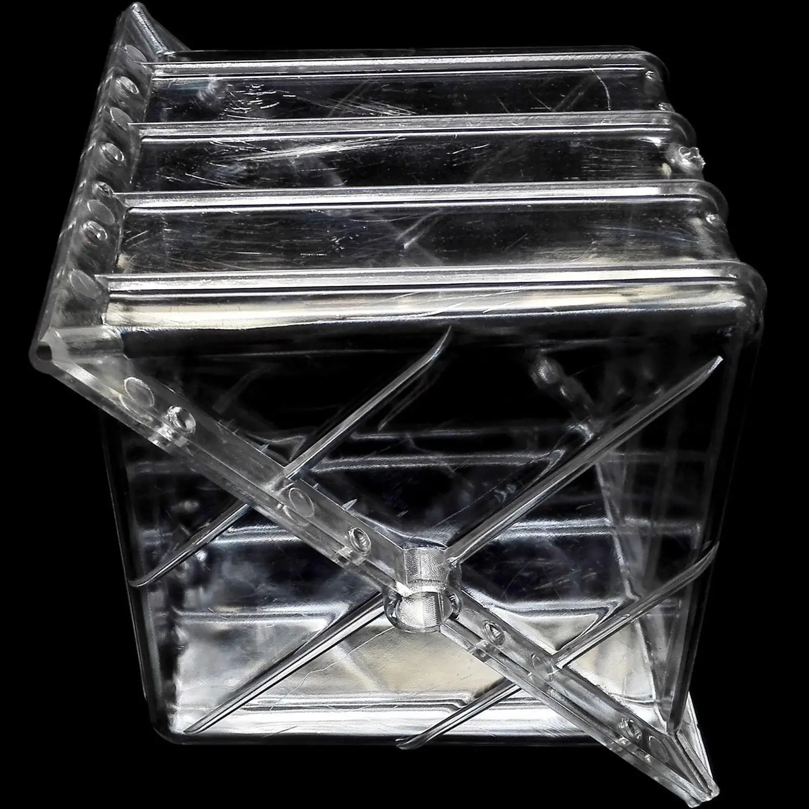 Molde de crecimiento de sandía, herramienta de modelado transparente, creativa, fácil de usar