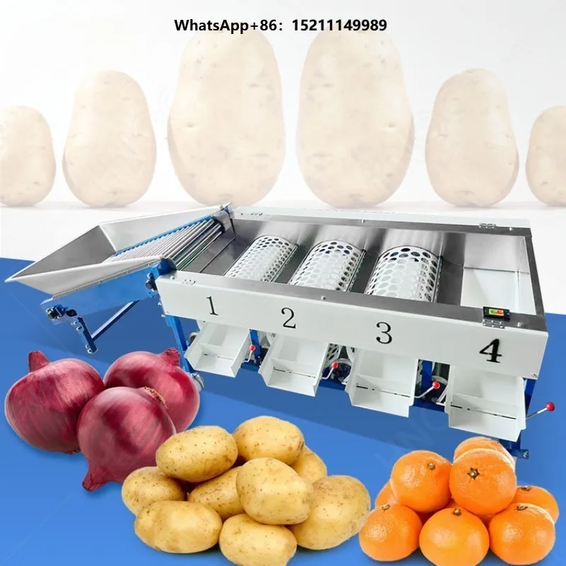 Mandarin Orange Blueberry Grade Machine  Mango Sorter Onion Grader and Size Sort Machine