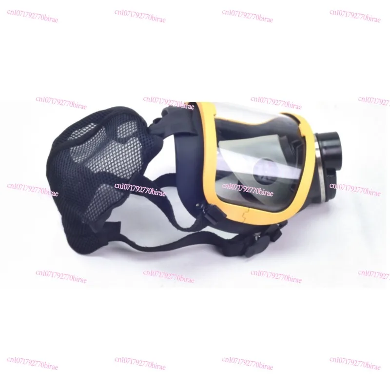 

Self-priming Long-tube Air Respirator, Filter Gas Mask, Mask, Electric Air Supply