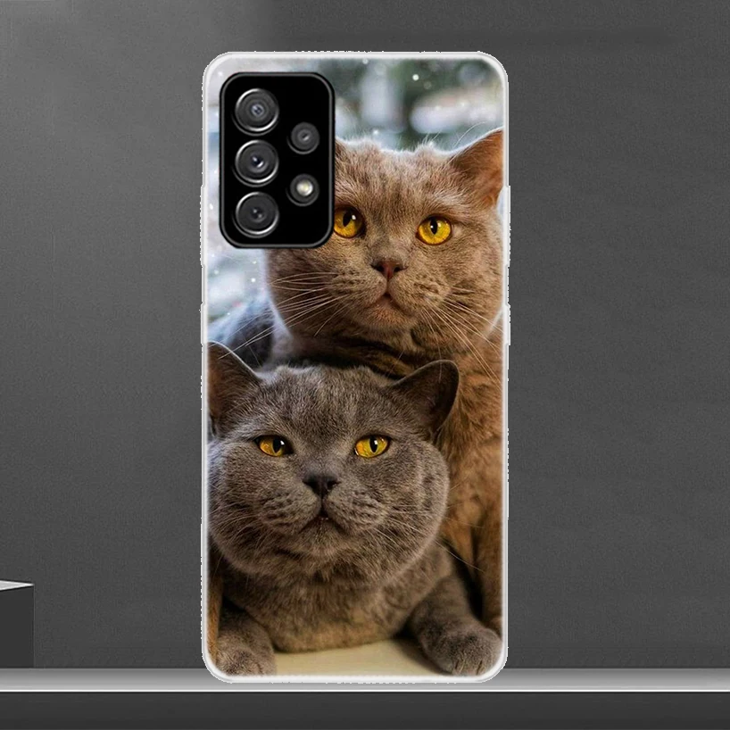 Britse Korthaar Cat Telefoon Hoesje Voor Samsung Galaxy A15 A14 A13 A12 A55 A54 A54 A52 A52 A35 A34 A33 A32 A25 A24 A23 A22 A04 S A 03S A0