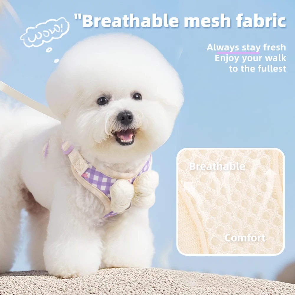 Thumbnail 4 - #56 Budget Puppy Leads for Smart Shoppers