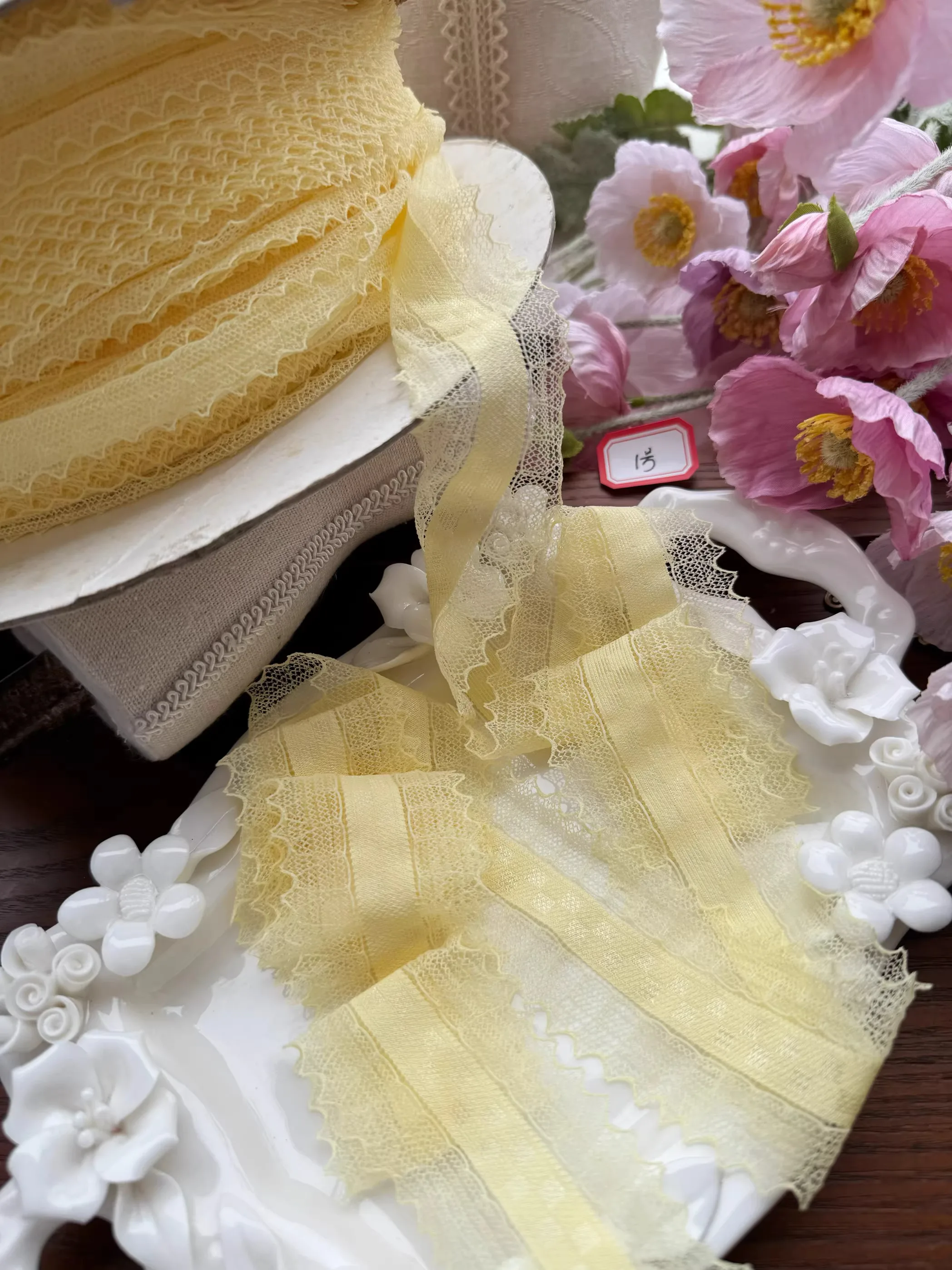 Fungus Lace Trim 6