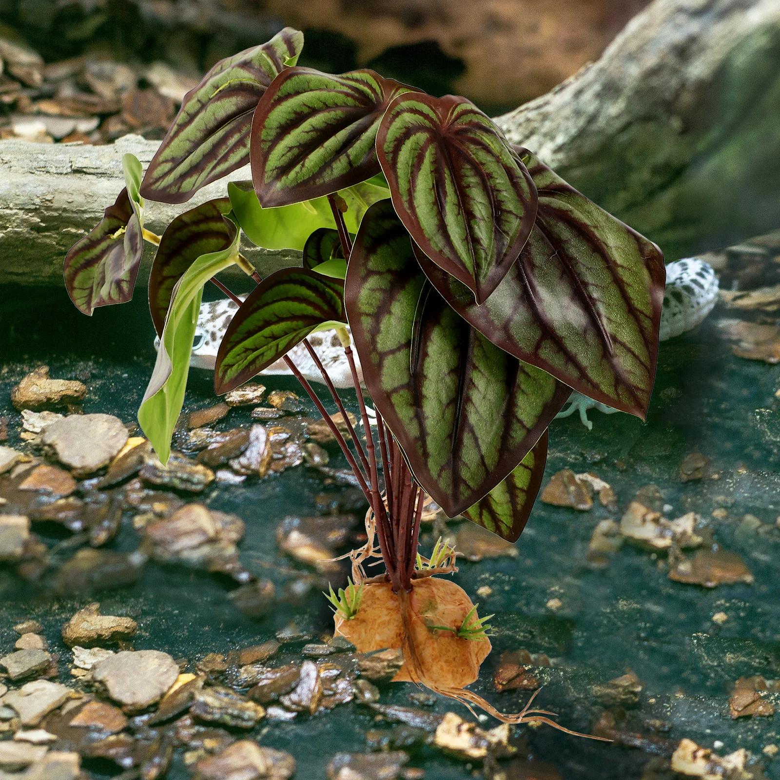 

Reptile Terrarium Plant Artificial Simulation Plant Decor for Fish Tank Lizard Box Amphibians Habitat Lifelike Aquarium