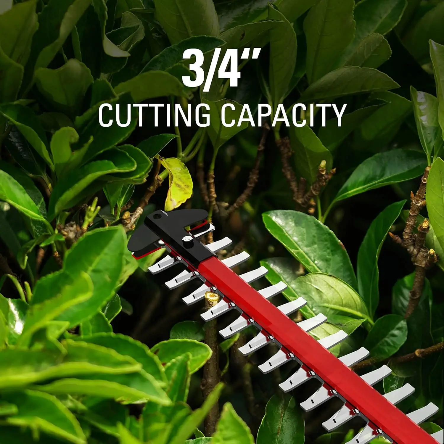 Imagem -03 - Corta-sebes sem Fio Greenworks Pro 80v 26