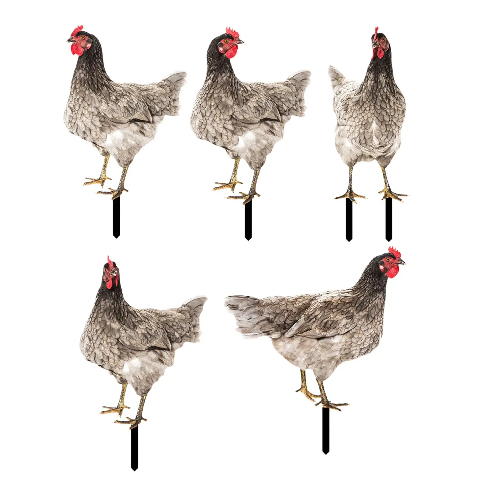 

Chicken Garden Statue Hen Lawn Ornament Figurine Porch Rooster Yard Stake