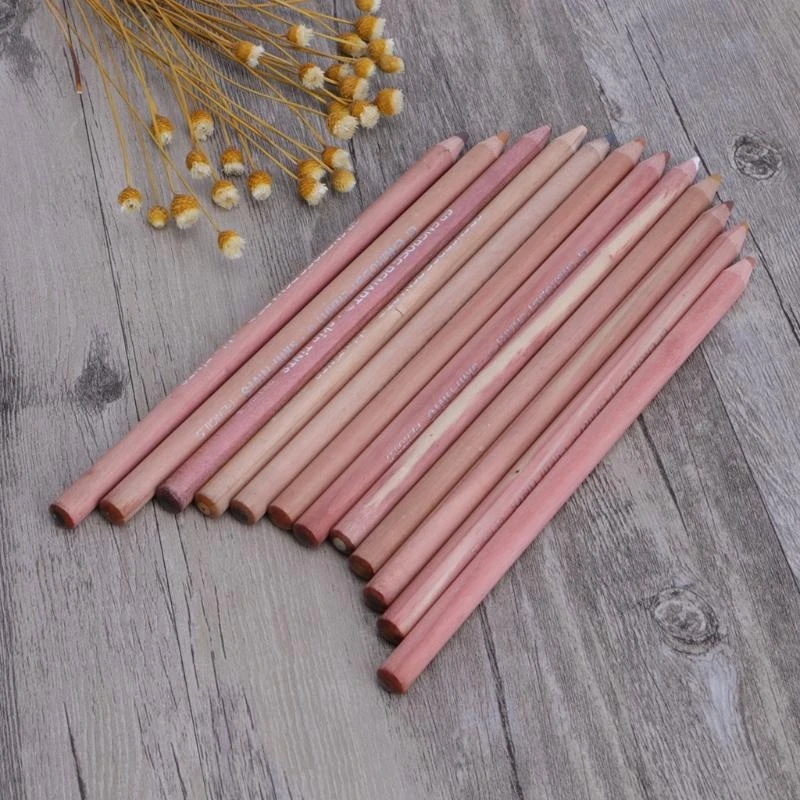 12pcs احترافية باستيل باسيل أقل