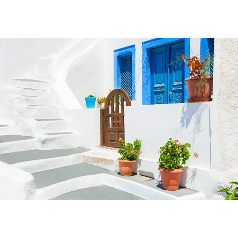 ZHISUXI piante verdi e case tradizionali fiori primaverili sulle strade della piccola città fotografia sfondo Prop XZ-05