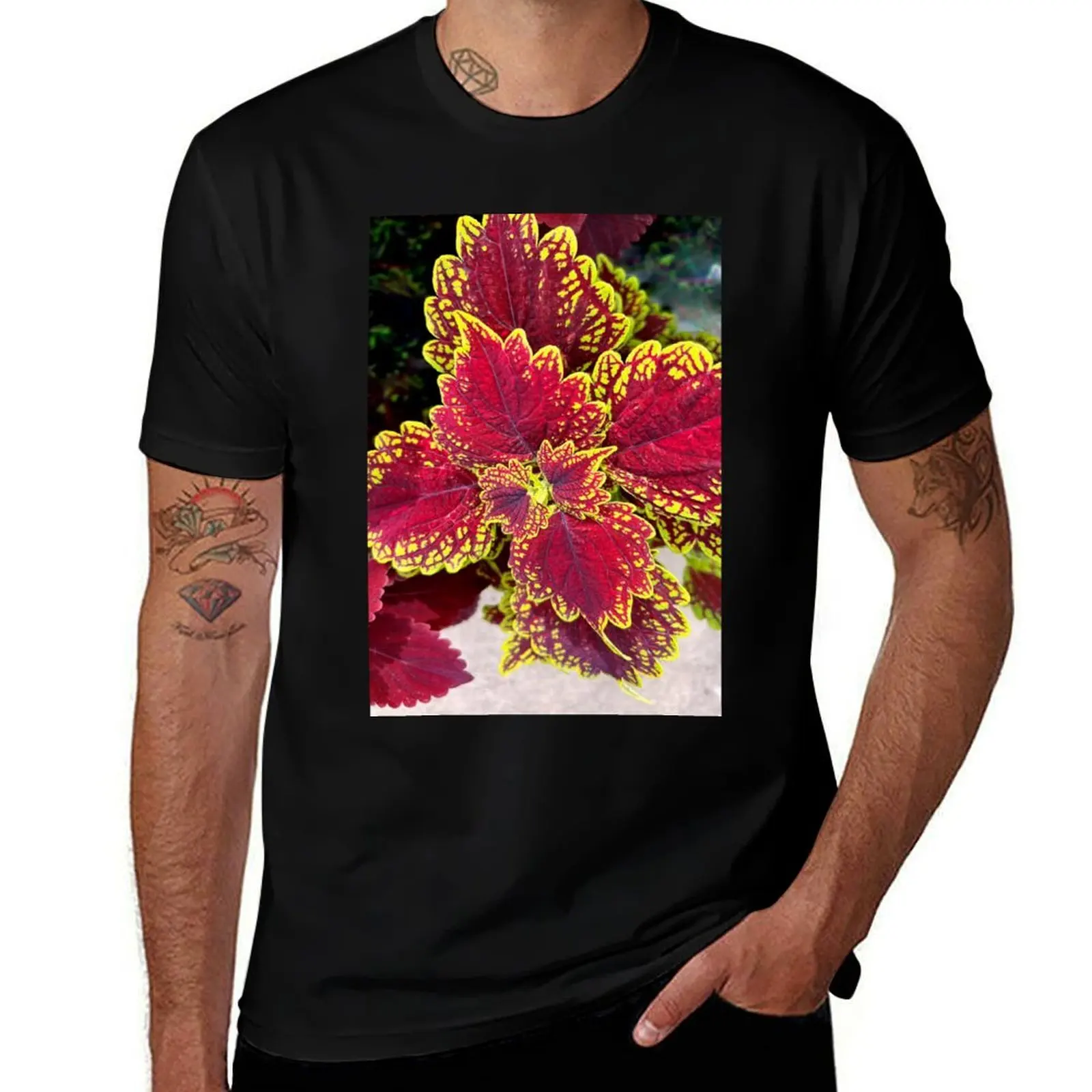 

Coleus Garden Plant Red and Green T-Shirt quick-drying funny shirt cotton mens designer t shirt