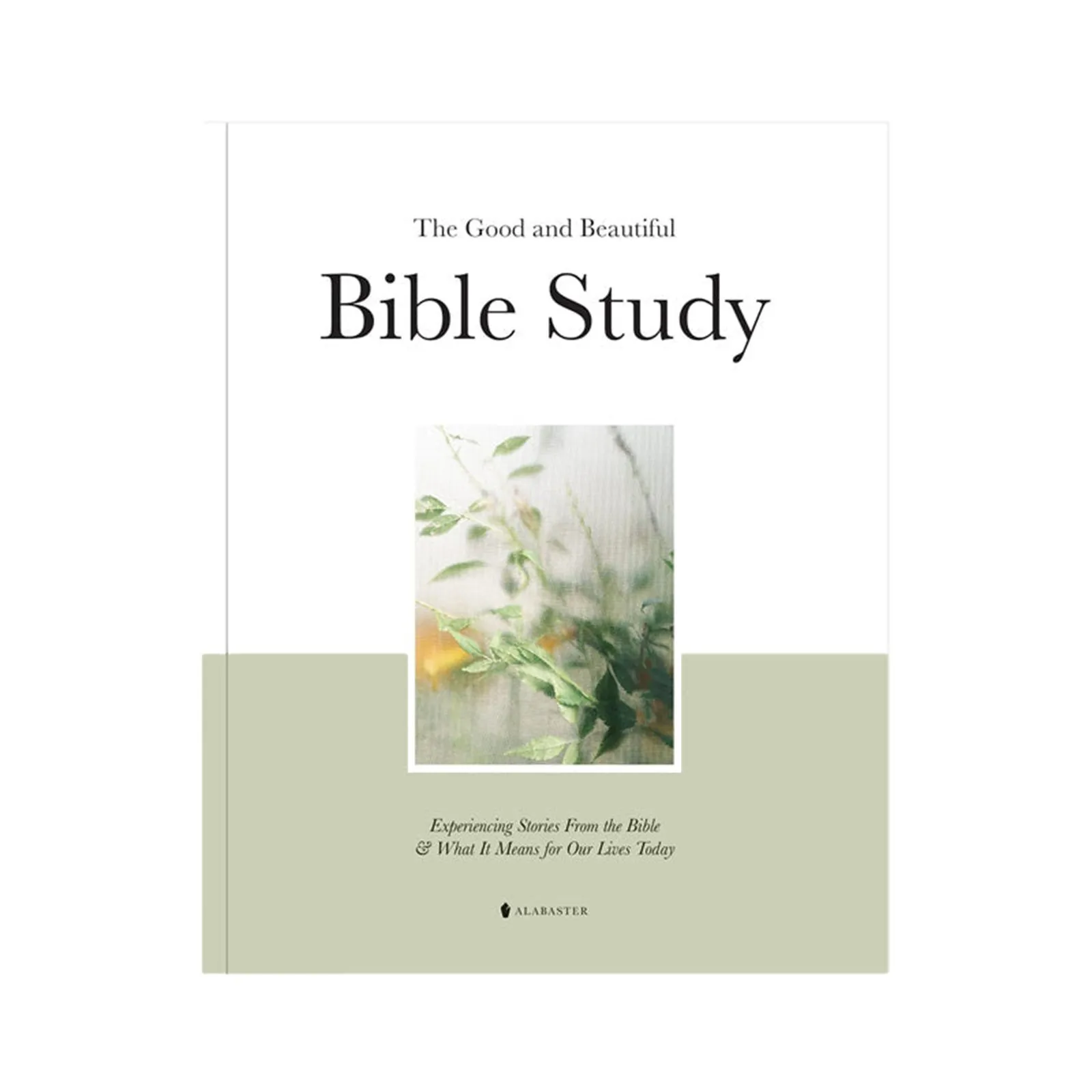 And Beautiful Bible Study Book:Experiencing Stories From The Bible And What It Means For Our Lives Today