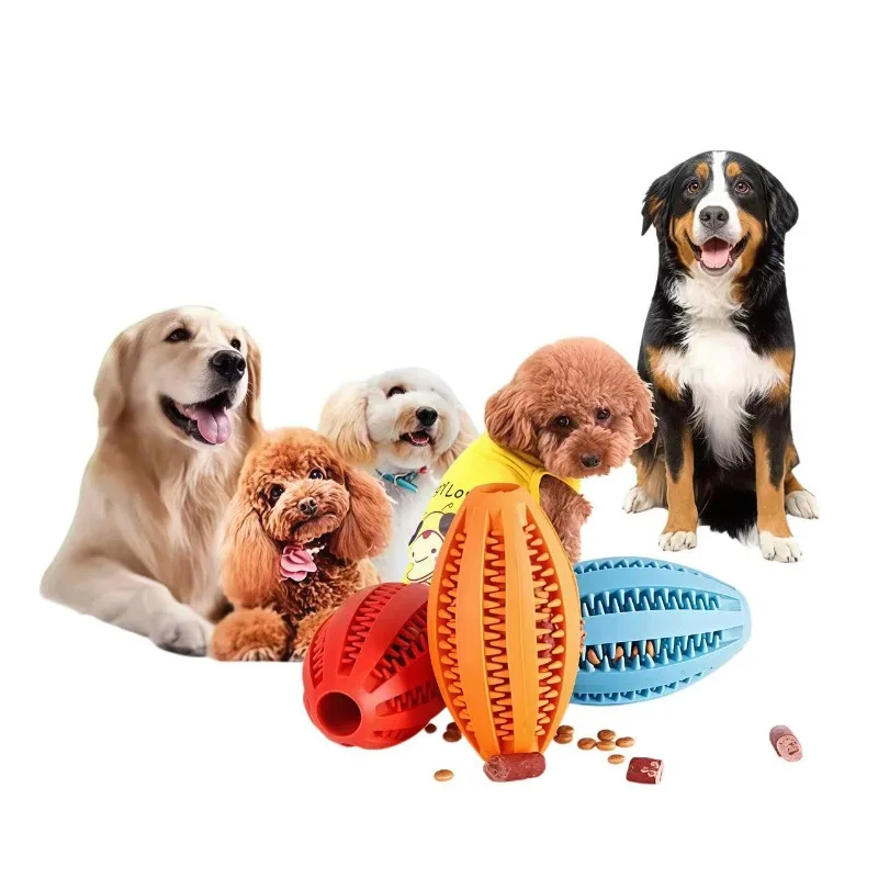 #14 Trending Dog Balls Right Now