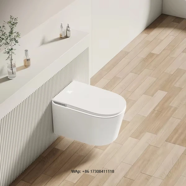 

Wall Mounted Heating Automatic Flushing Night Light Concealed Bidet Electric Toilet Smart Toilet P-trap