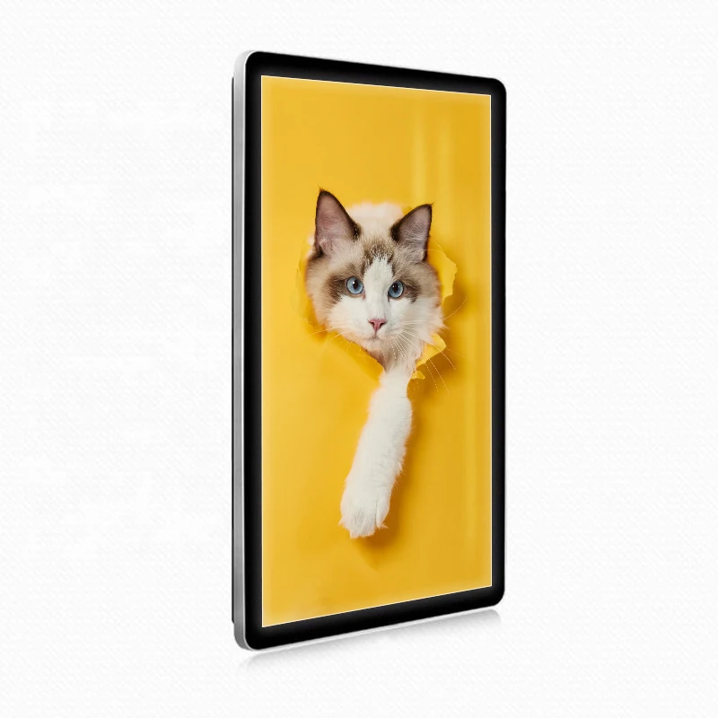 21.5 Inch Android WIFI LCD Advertising Playing Equipment Wall Mounted Touch Display Screen for Marketing