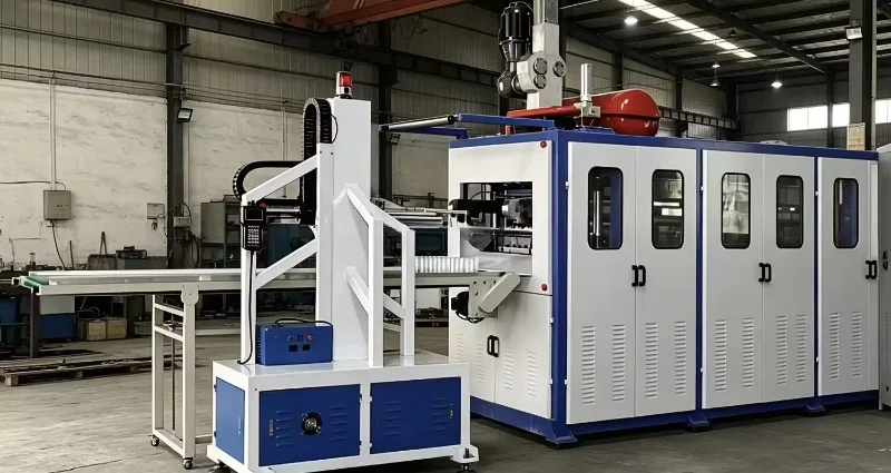 Disposable Plastic PET Milk Tea Bubble Tea Glasses Manufacturing Fully Automatic Production Thermoforming Machine