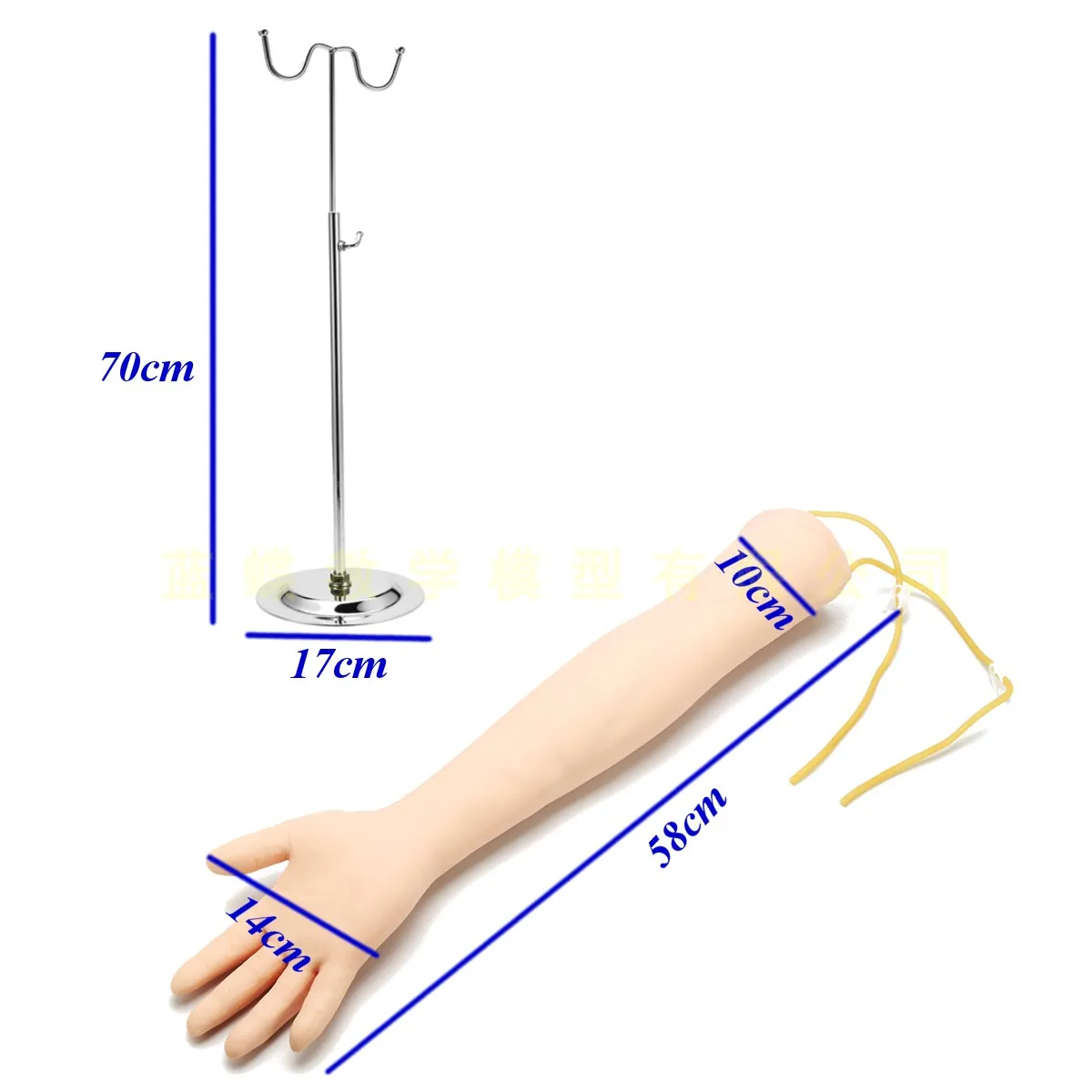 Imagem -05 - Vida Tamanho Anatômico Flebotomia Venipuncture Prática Braço Anatomia Injeção Prática Simulador Médico Enfermeira Treinamento Kit