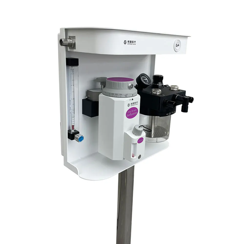 Hot Sale Professional Vet Veterinary Machine Veterinary Equipment For Vet's Hospital Pet Clinic Diagnosis