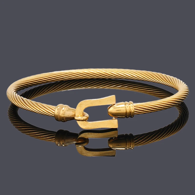 Luxury Rope Stainless Steel Man Bracelets Women Bangles Jewellery Valentines Day Gift
