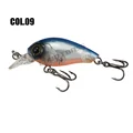 Col 09