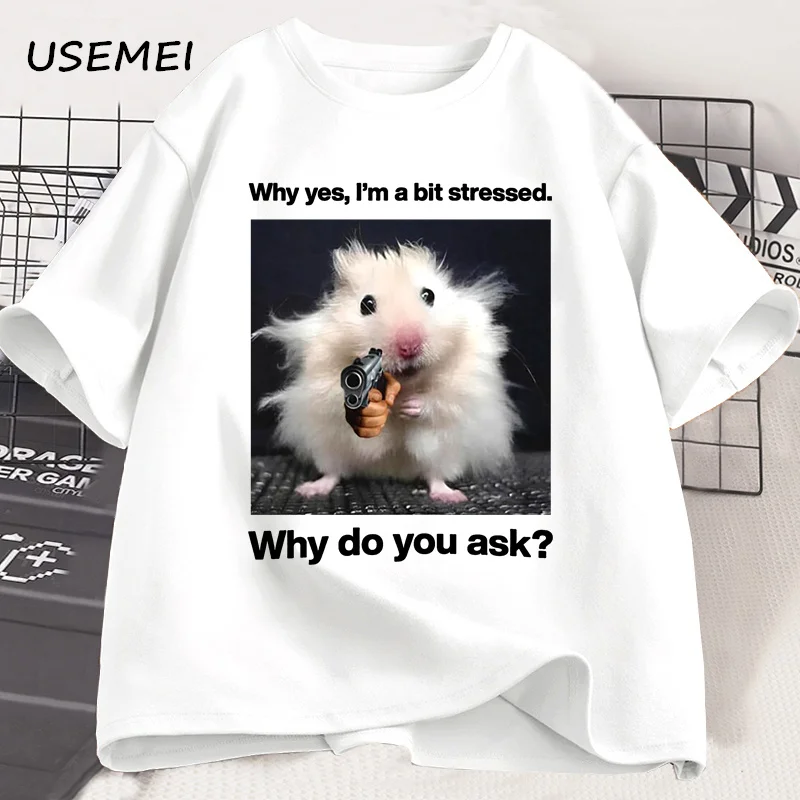 Why Hes, Im A Bit Stressed, Why Do You Ask Shirt Funny Shirt Ironic Weirdcore Clothing Low Poly Feline Oddly Specific Unhinged