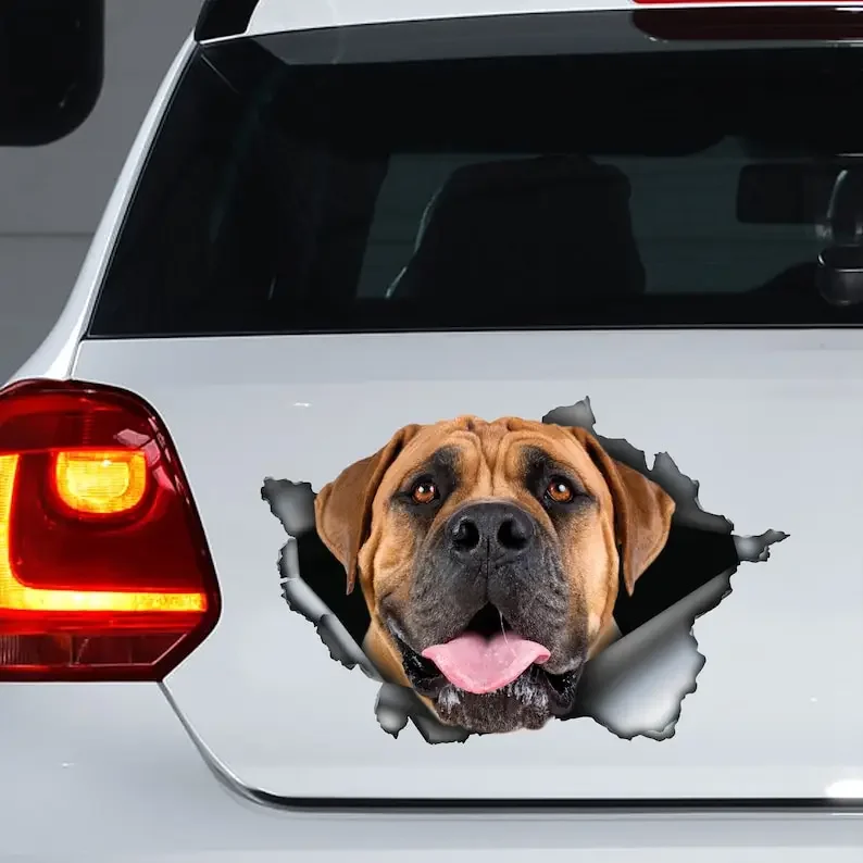 Boerboel decal , Boerboel magnet, Boerboel sticker,car decal