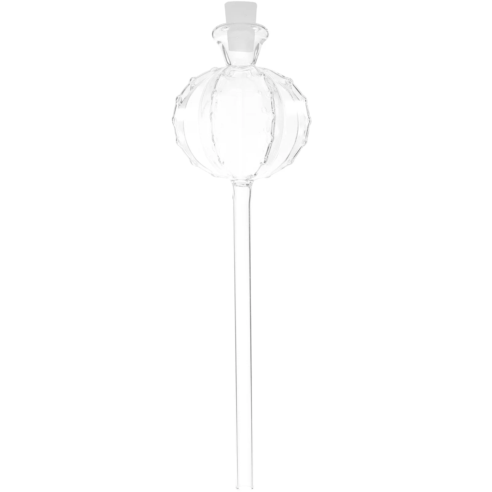 

Automatic Plant Watering Globe Portable Clear Glass Self-Watering Tool for Indoor Outdoor Potted Plants Flower Water Irrigation