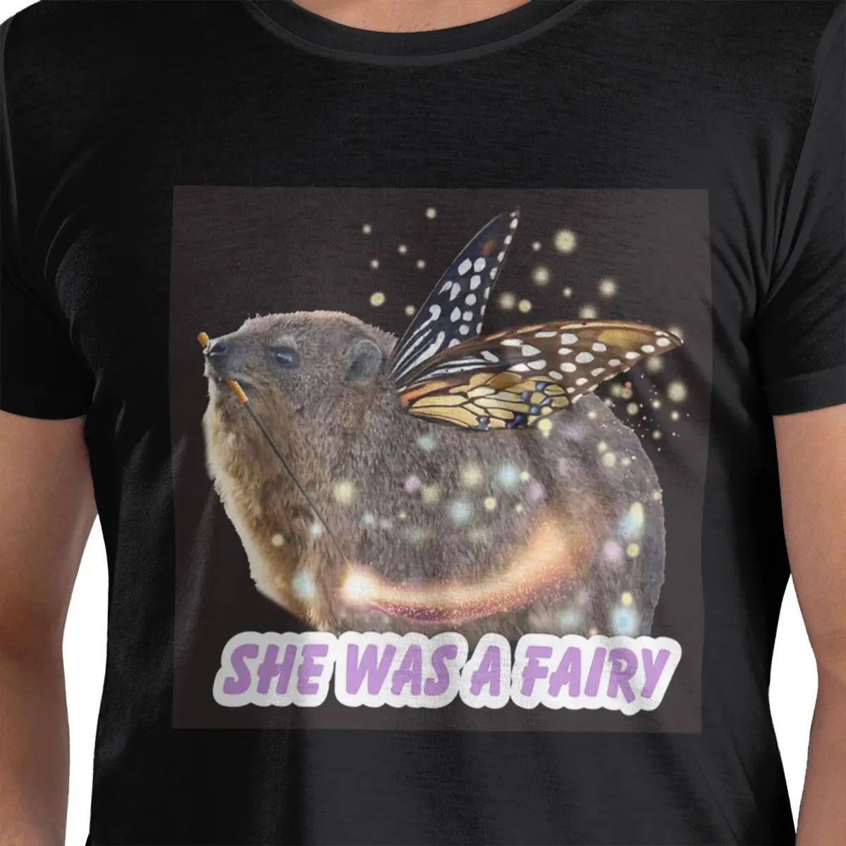 

Rock Hyrax Fairy 100% Cotton T-Shirt Men's Oversized T Shirts Men O-Neck Short Sleeve S-6XL