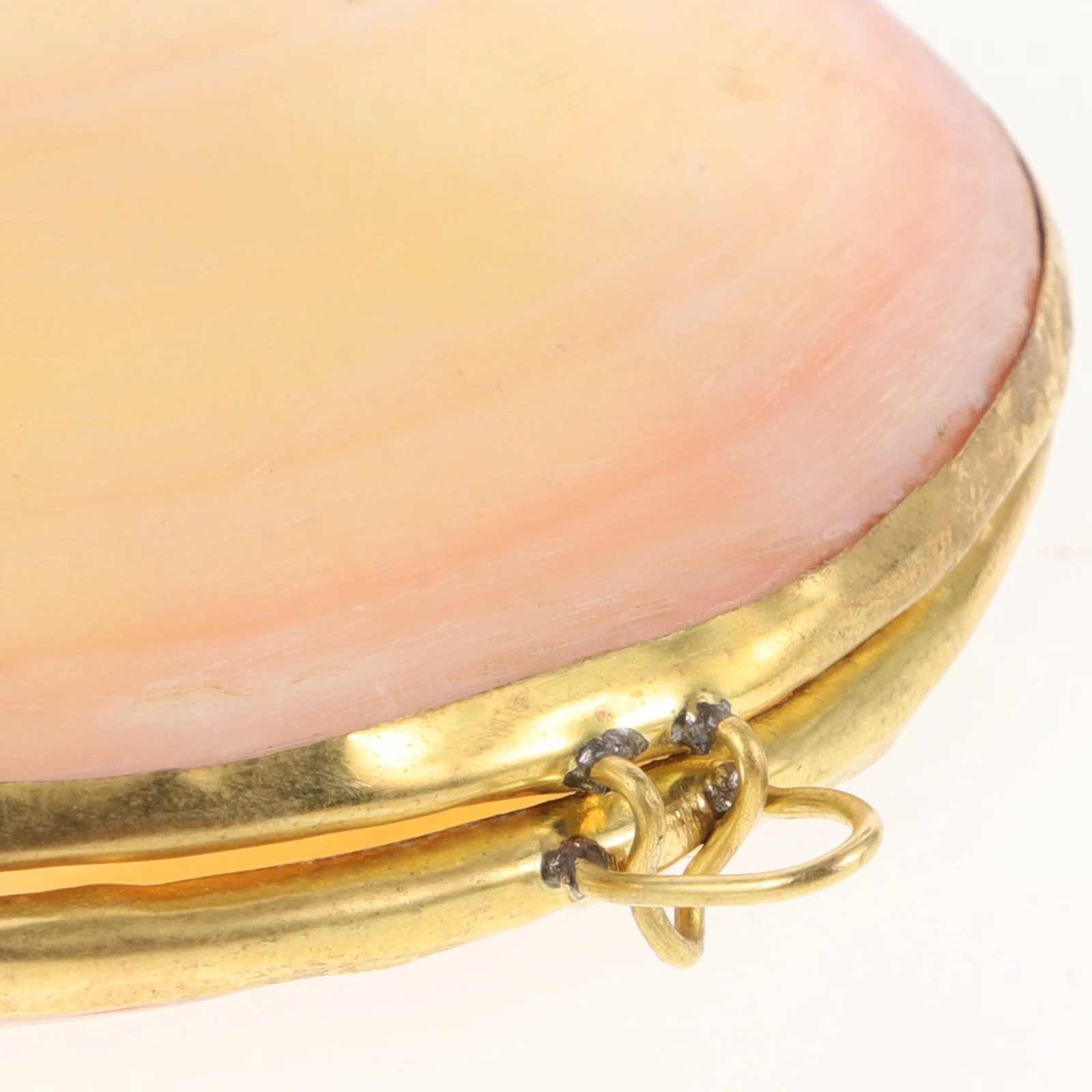 

Shell Jewelry Box Elegant Seashell Shaped Jewelry Organizer Ring Holder Earring Case Desktop Storage Box Shell Dish