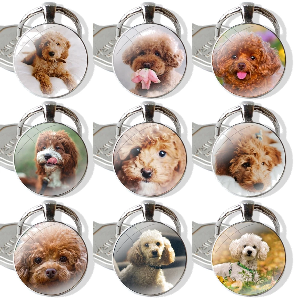 Keychain Handmade Glass Cabochon Key Ring Holder Pendant Key Chains Poodle dog Fashion Design Creative Cartoon