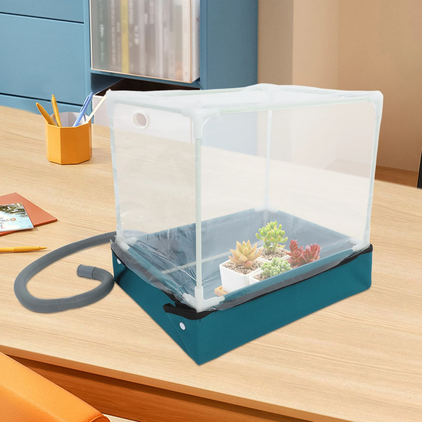 

1pc Succulent Planting Box Mini Greenhouse Water Base Foldable Design Tabletop Garden Display Container