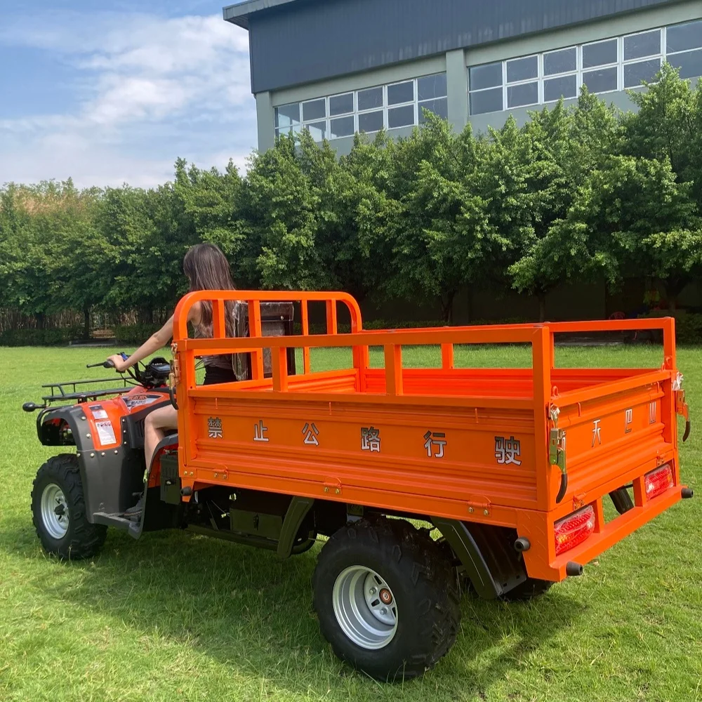 High Quality Dune Buggy 4  Wheel  Quad