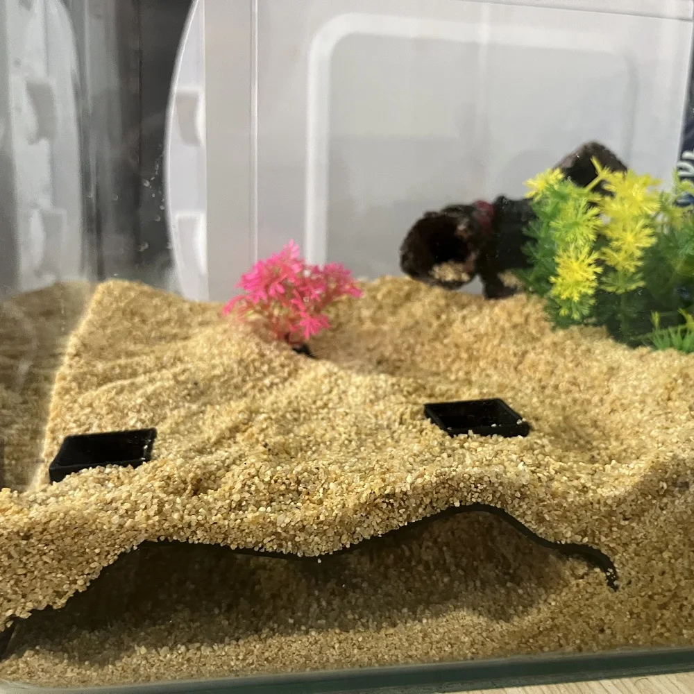Underground Cave With Natural Appearance | Aquarium Cave | Aquatic Hideout | Bottom Dweller Tunne