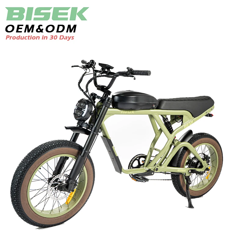 Clrak  Shock Absorbing Fat Tire for Off Road Riding Vintage Pedelec Long Seat Turning Signal Sport Ebike for Mountain