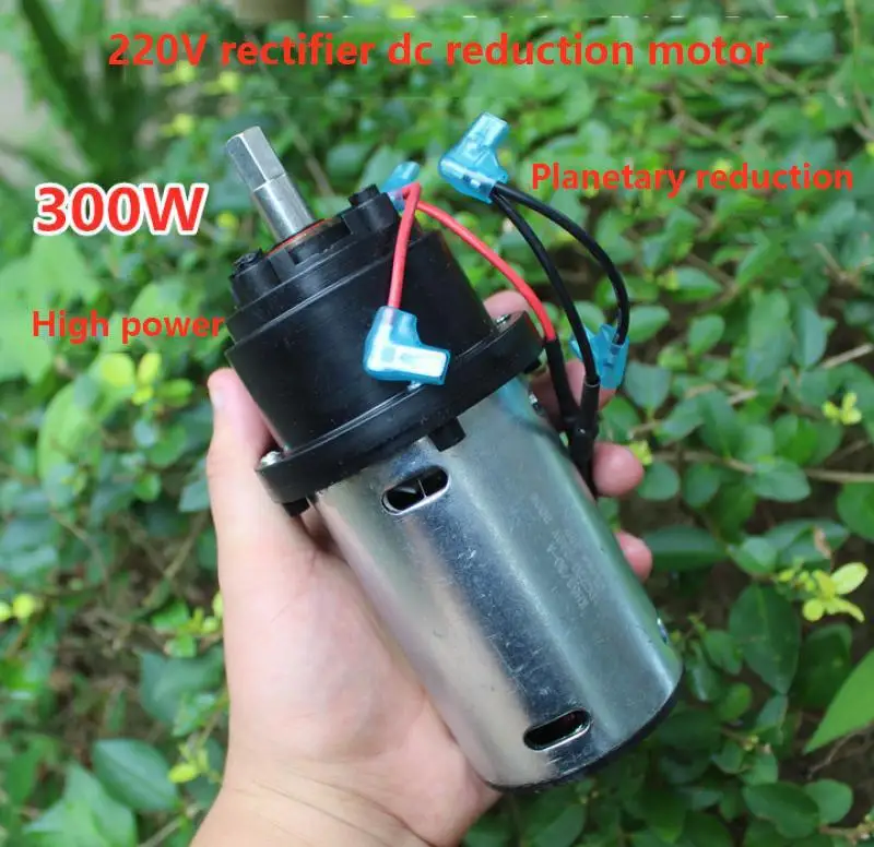 220V 150W High-Power Rectifying Dc Reduction Motor Planetary Reduction Torque Permanent Magnet DC Motor