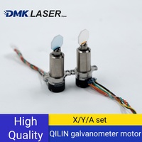 DMK Galvanometer motor V8/V9/V10 for QILIN BWT20S DWT20 Single/Double Pendulum hand held welding head With reflective lens