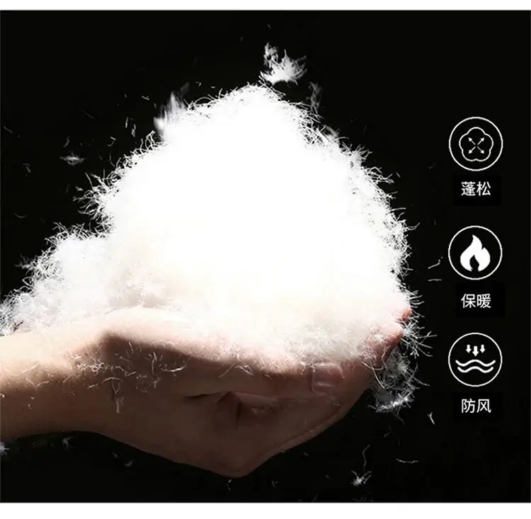 Down jacket men's stand-up collar winter 2025 new trendy brand thickened warm fashion jacket