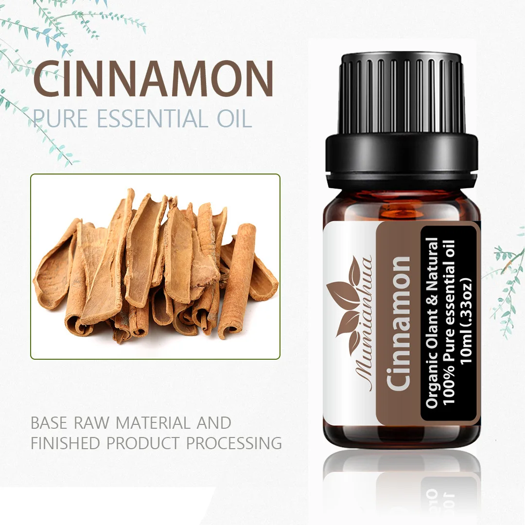 Cinnamon Essential Oil, Therapeutic Grade, Pure and Natural Premium Quality Oil for Diffuser Skin and Hair Massage Aroma Oil