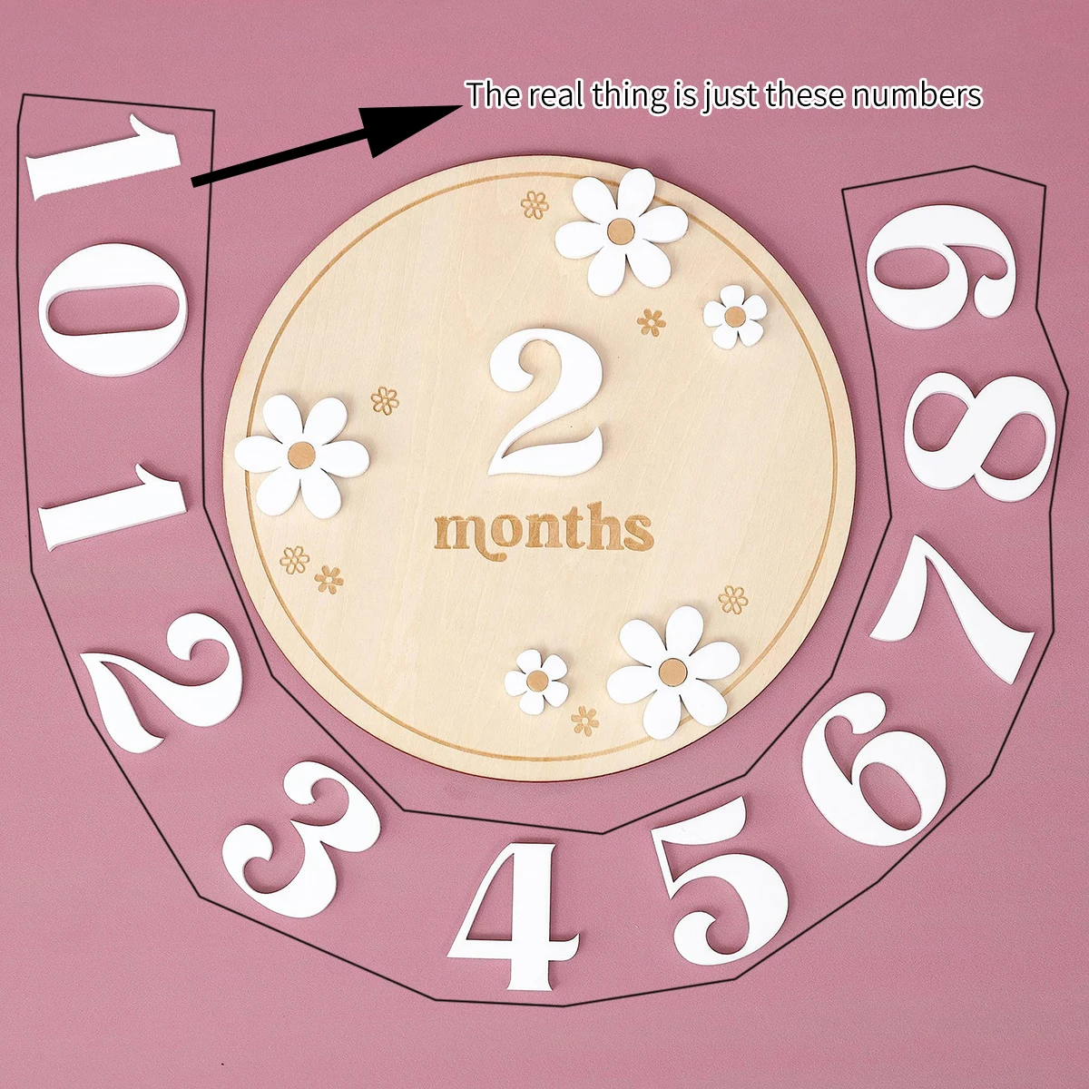 Baby birth month wooden photo prop Small white Daisy commemorative baby milestone circle