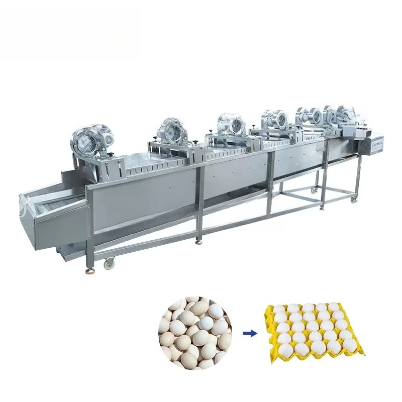 FOODLINE Spray Type Egg Washer Machine Hygienic Structure For Egg Wholesale Processing Center Business