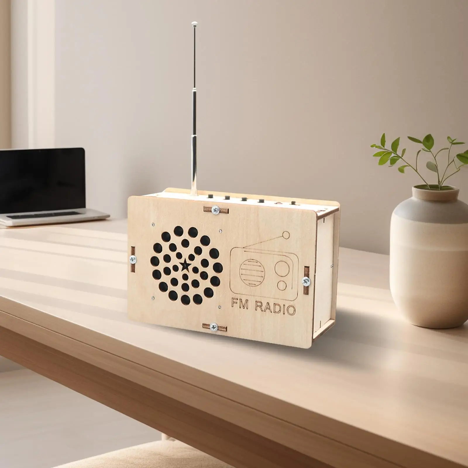 DIY FM Radio Model Wood Science Experiment for Boy Girls Kids Birthday Gift