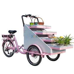 OEM Fruit Vending Cart Food Bike Electric Street Popular Seller Mobile Shop Snacks Park Kiosk Push Tricycle for Sales