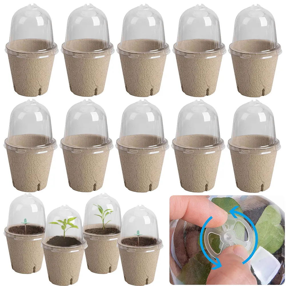 

10Pcs Seedling Cup Seed Starter Transparent Lid Greenhouse Breeding Box Biodegradable Plant Growing Cup Versatile for Gardening