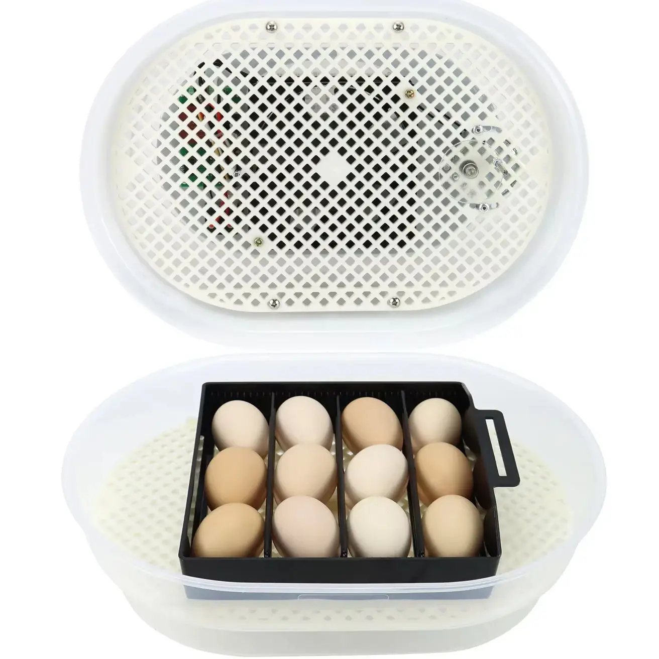 JN12 Mini Automatic Digital Egg Incubator, Hatcher, Brooder, Setter farm egg incubator 12eggs incubator
