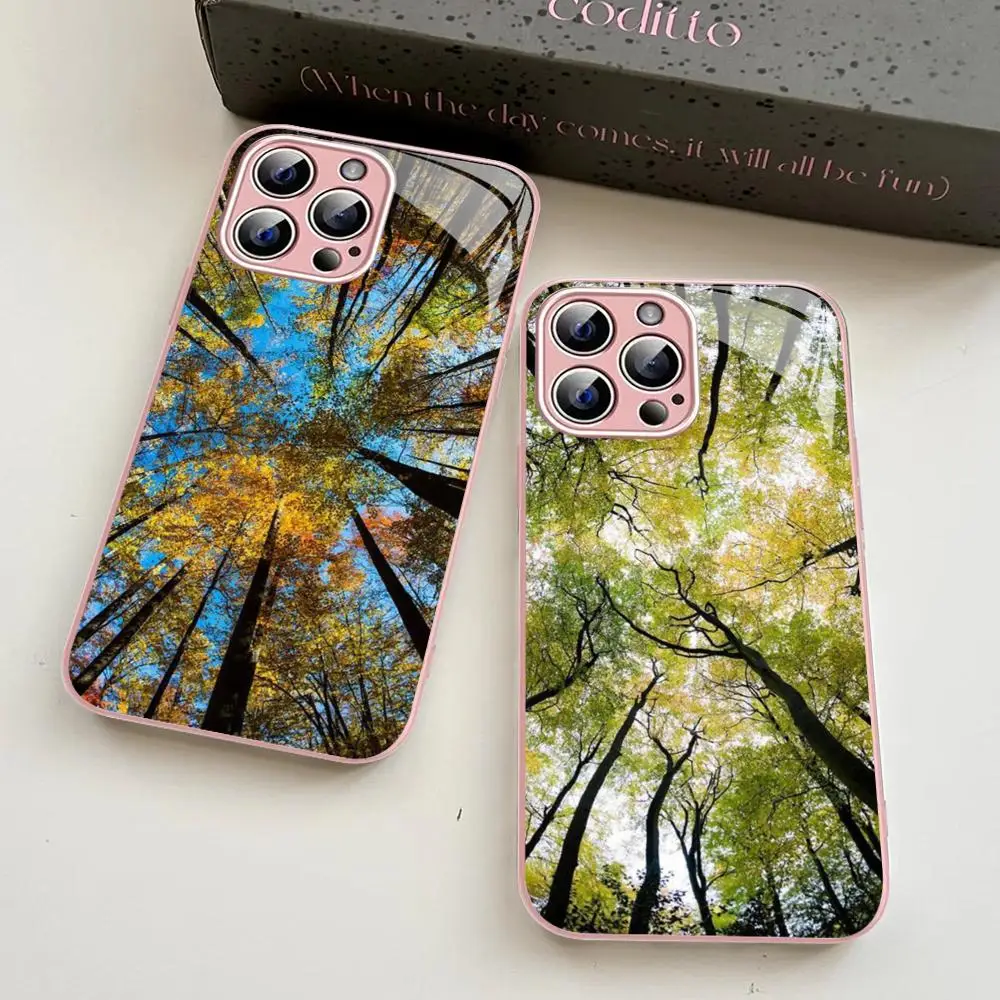 

Look up Sky Forest Phone Case For iPhone 14 13 12 Mini 11 Pro XS Max X XR 14 Plus Tempered Glass Cover