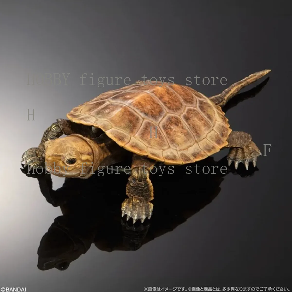 Bandai Original Gashapon Biological Atlas Anime Figur Turtle 02 Bewegliche Schildkröte Anime Actionfiguren für Hobby Kinder Modell Geschenke