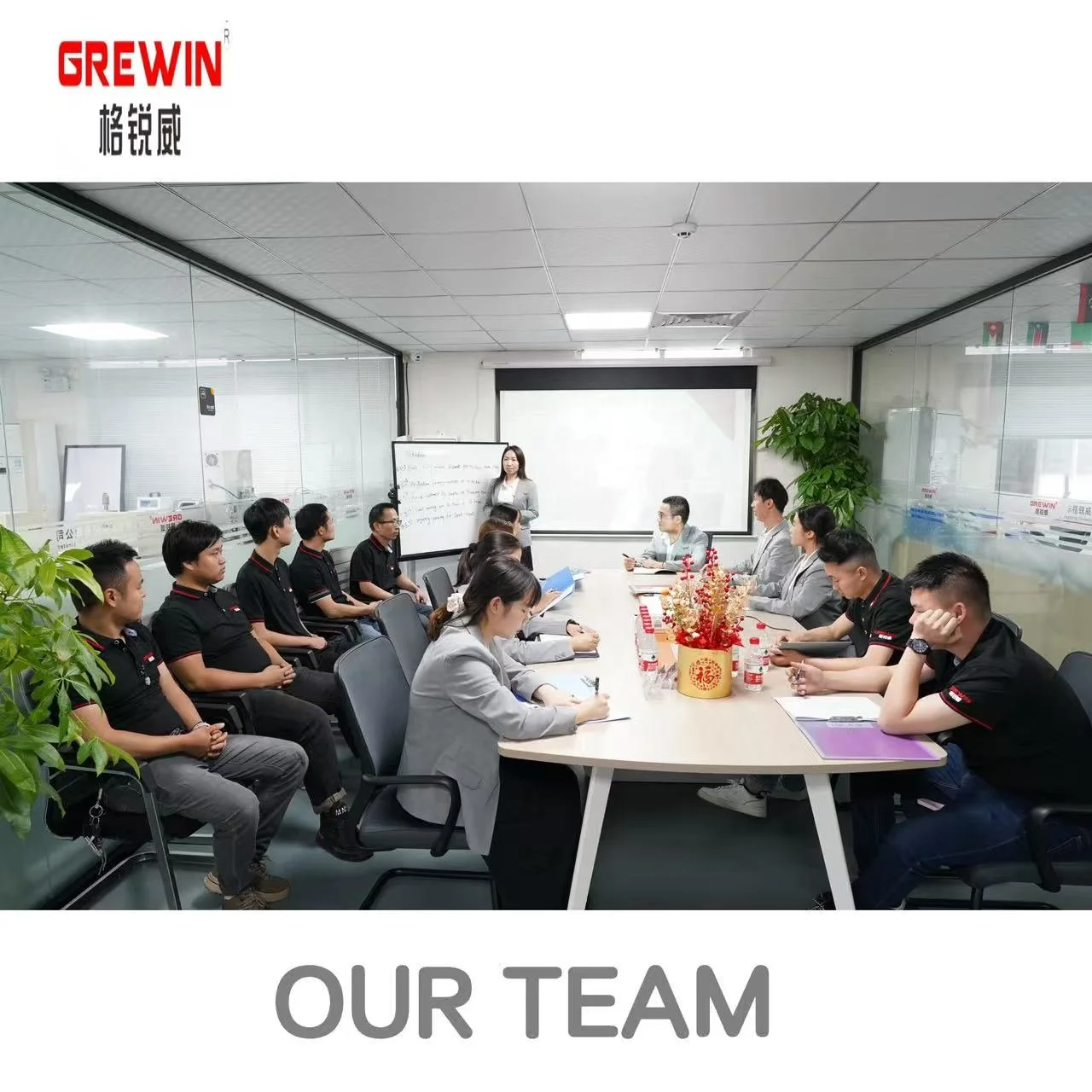 4.8 6.3 Flag Type Fully Pre-Insulated And Non-insulated Crimp Terminal Flag Terminal Crimping Applicator GRW-30H